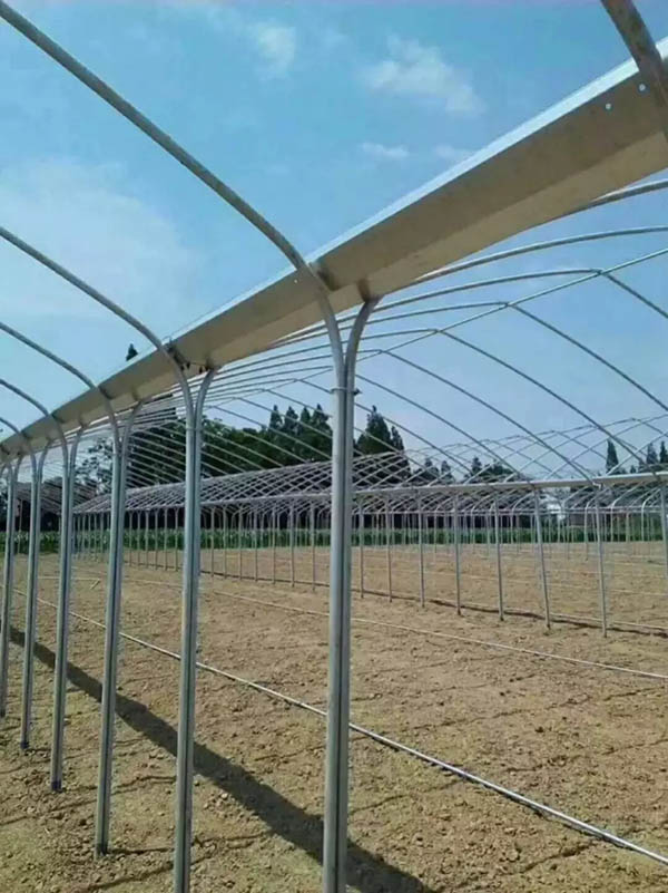 昌平区连体大棚